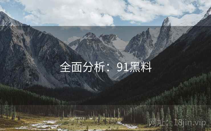 全面分析：91黑料  第1张