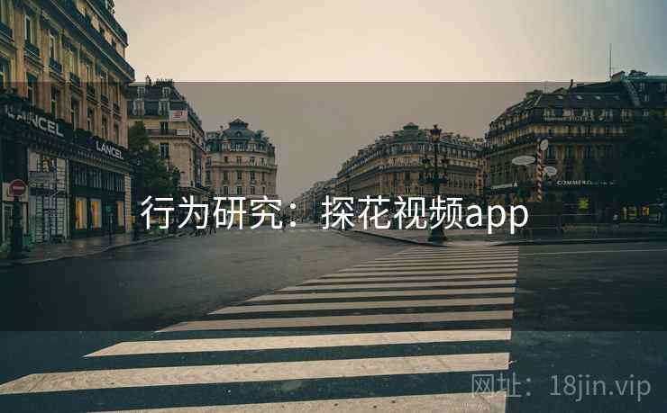 行为研究:探花视频app 第2张 行为研究:探花视频app 第2张
