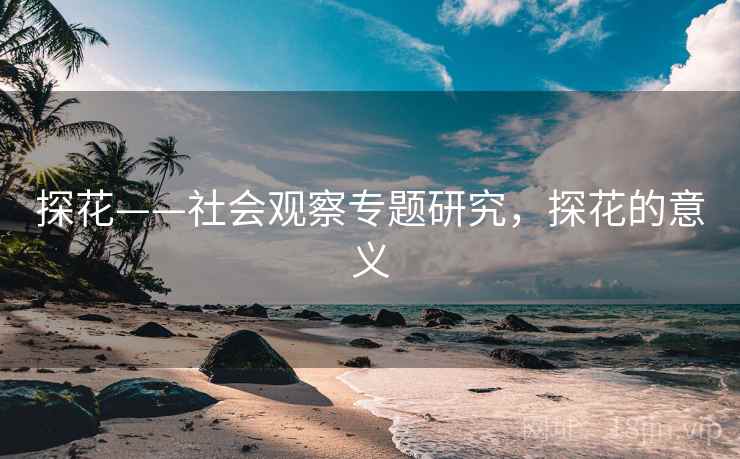 探花——社会观察专题研究,探花的意义 第1张 探花——社会观察专题研究,探花的意义 第1张