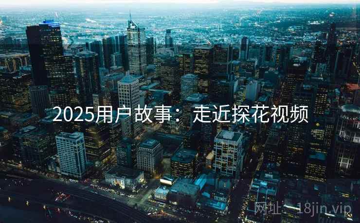 2025用户故事:走近探花视频 第2张 2025用户故事:走近探花视频 第2张